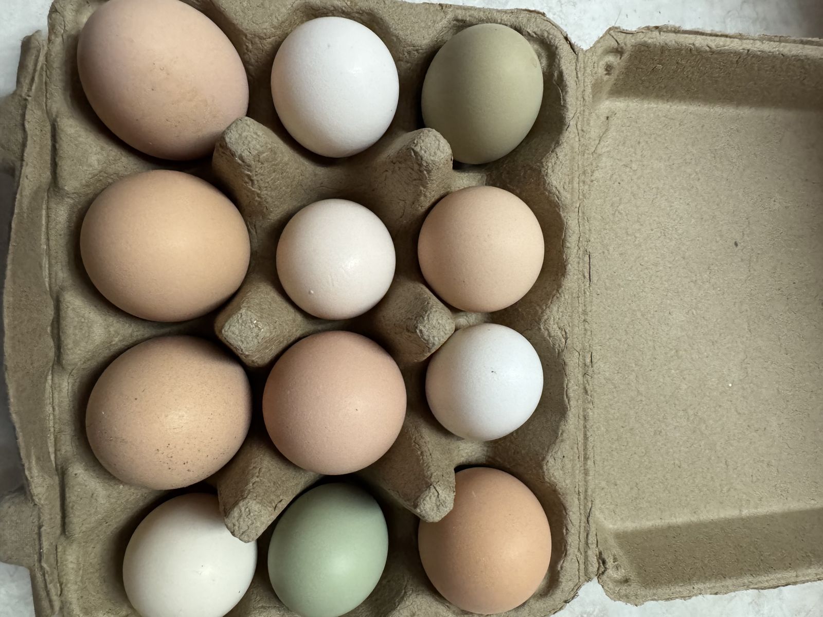 Dozen Fresh, Fertile Barnyard Mix Eggs