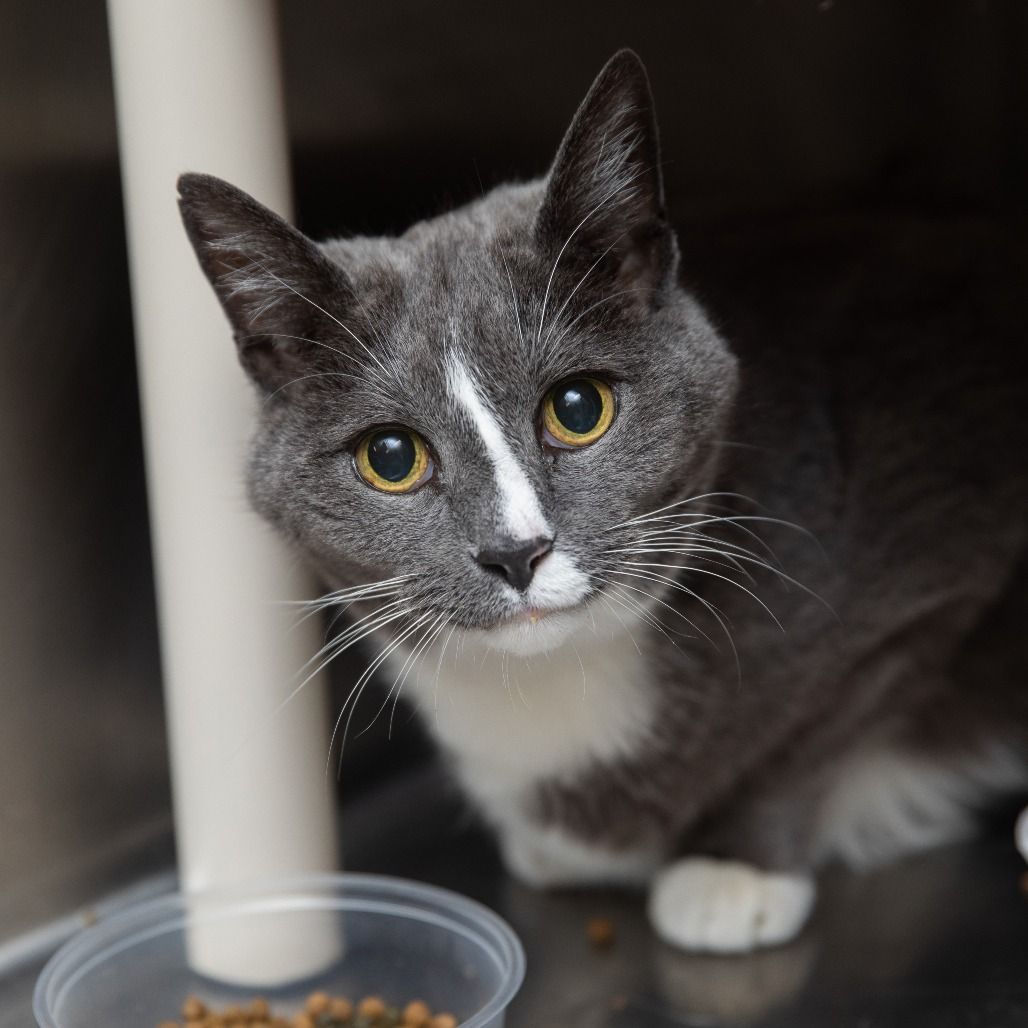 Hello my name is Grayson