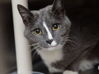 Hello my name is Grayson