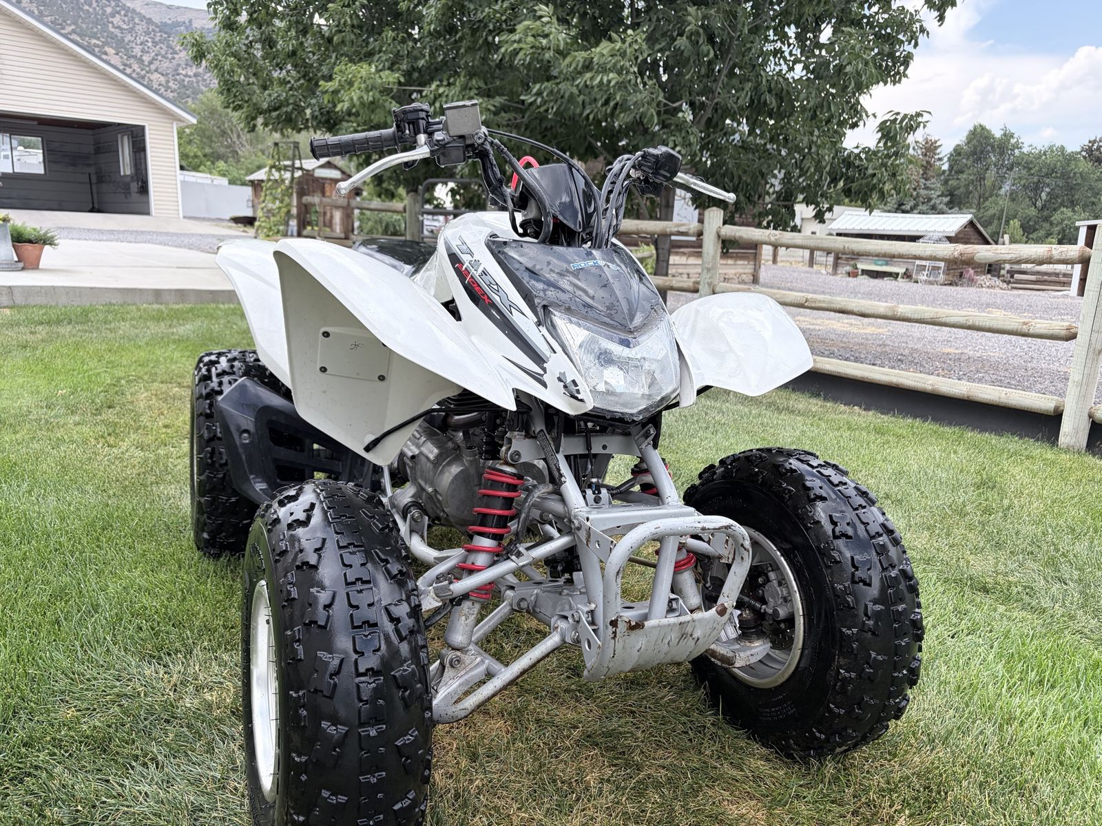 Honda TRX250X Sport ATV - White