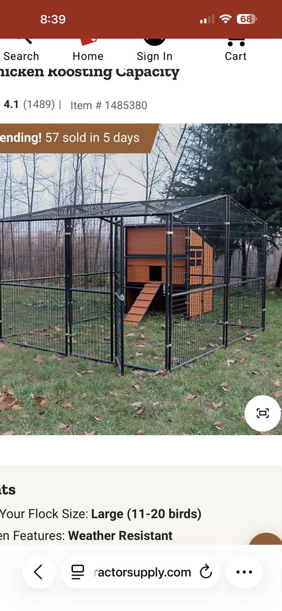 Large Outdoor Chicken enclosure.
