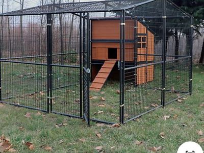 Large Outdoor Chicken enclosure.