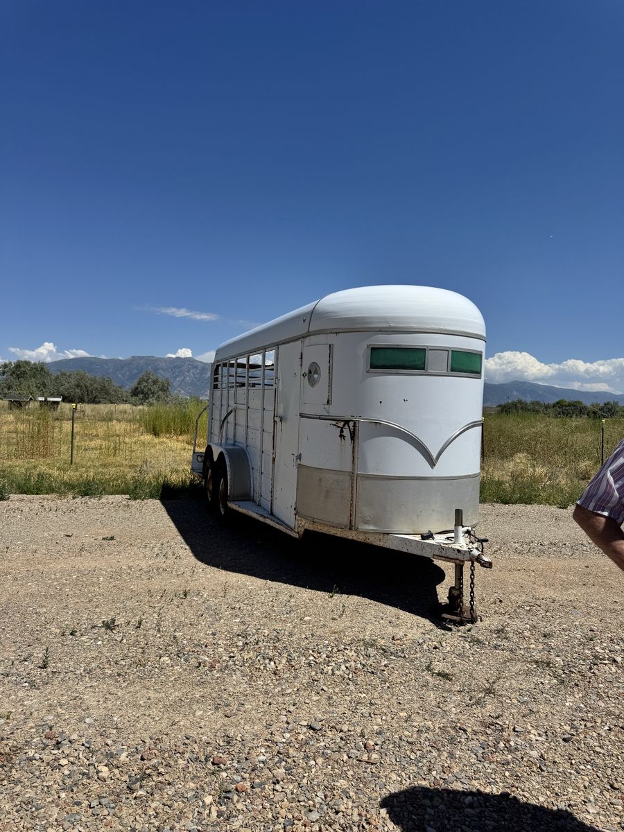 Horse Trailer