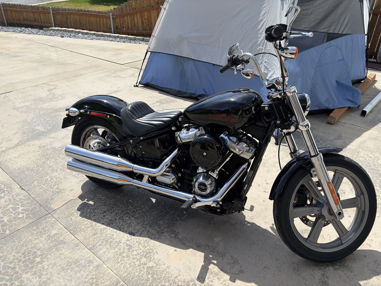 Harley Davidson Softail Standard