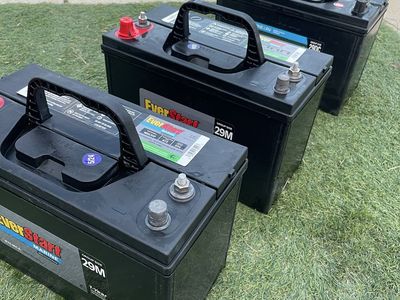 EverStart Marine Group Size 29M / 29DC Deep Cycle maintenance free AGM RV - Boat Batteries (price per each)