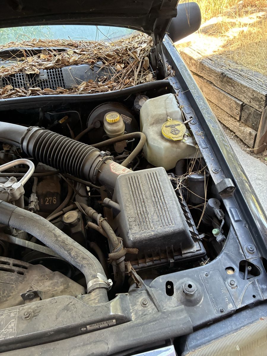 Main image 12