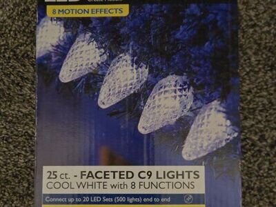 NEW LED Christmas Lights W/ 8 Functions, 25 Feet