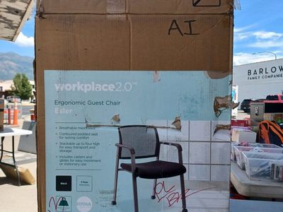 Workplace 2.0 Esler Ergonomic Guest Chair - Black, Breathable Mesh, Stackable