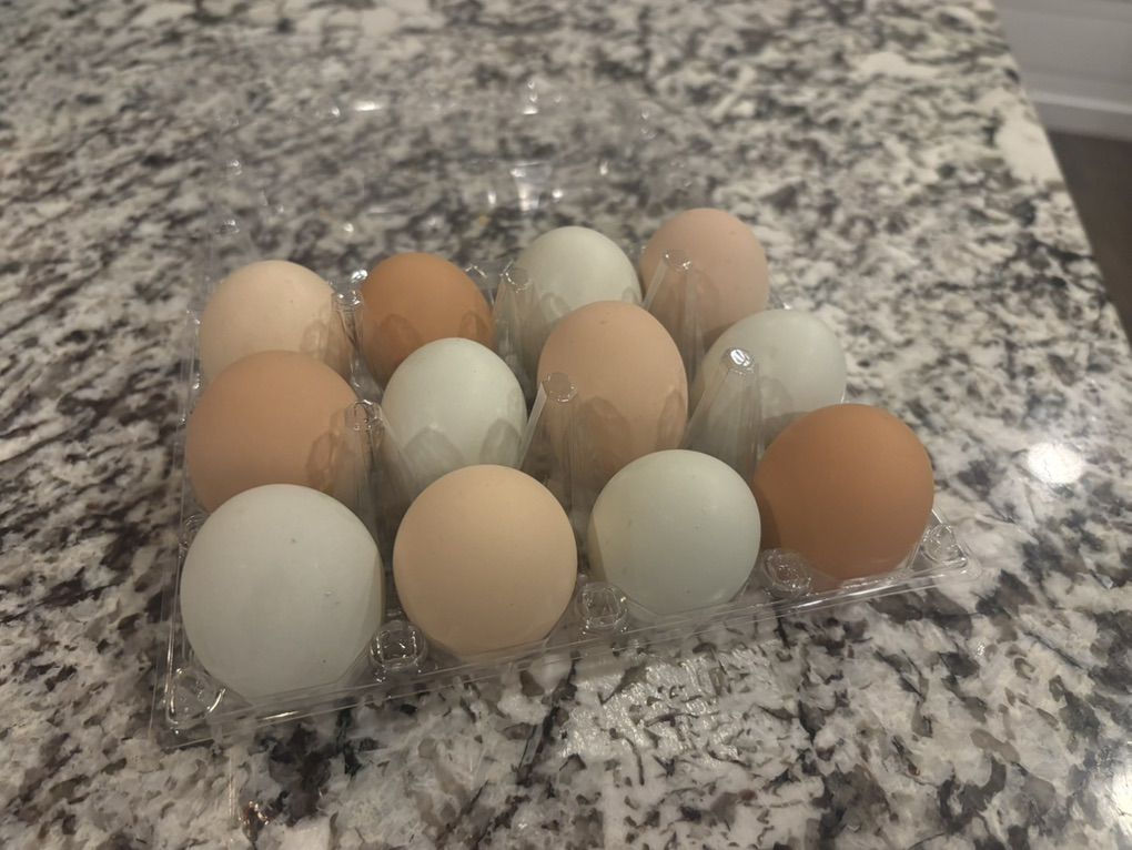One Dozen Farm Fresh Eggs
