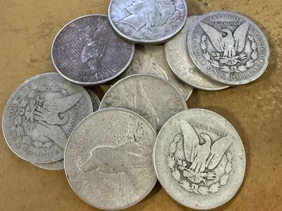 Silver Dollars