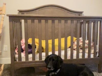 Crib