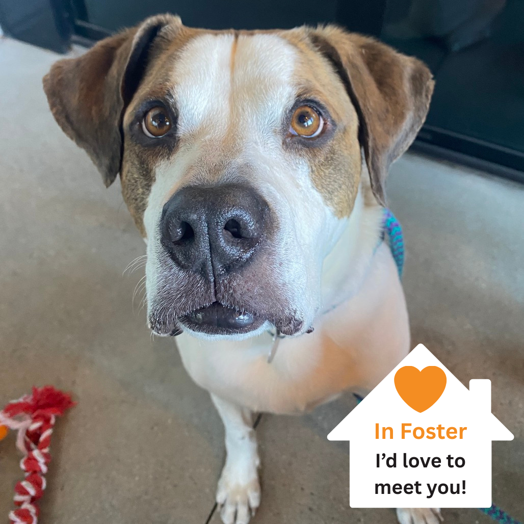 Hello my name is Richard