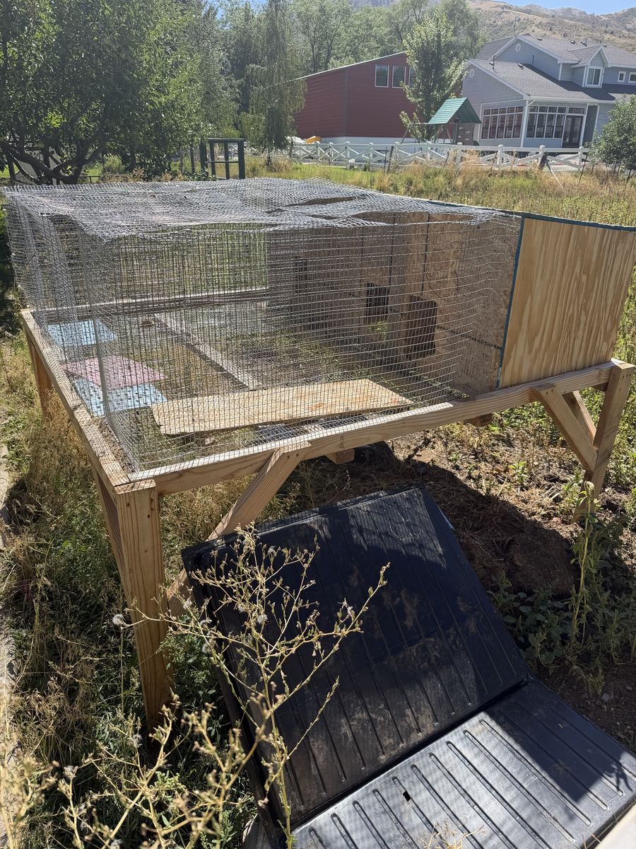 Rabbit cage