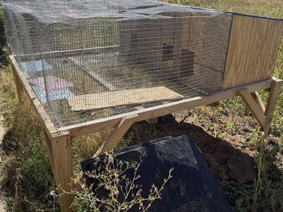 Rabbit cage