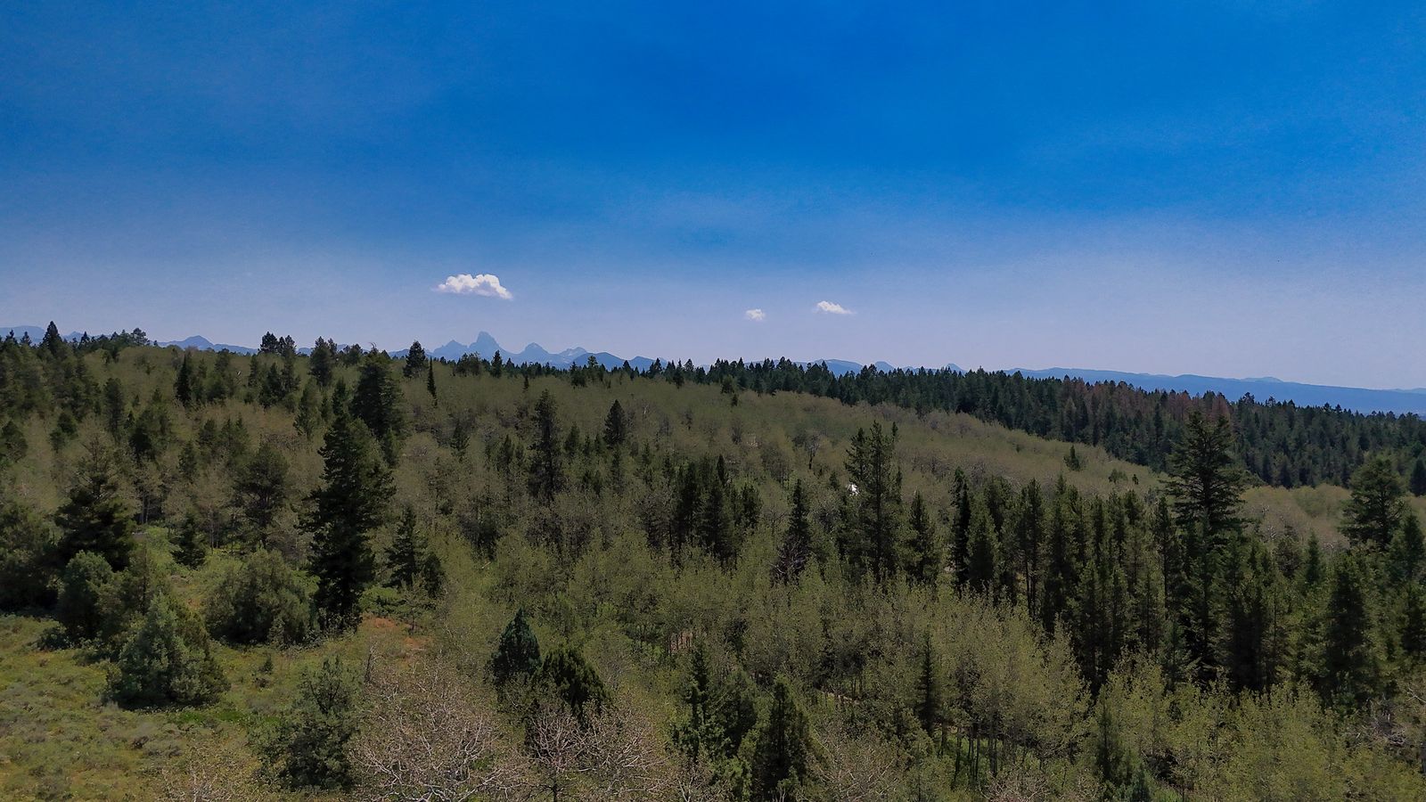 Main image 12