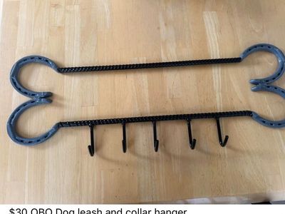 Horseshoe Art