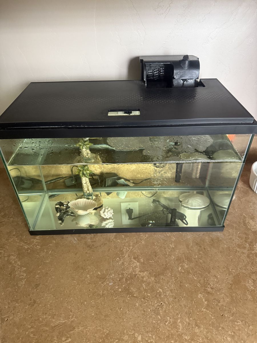 Fish Tank/ Filter And LED Lighted Lid