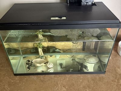 Fish Tank/ Filter And LED Lighted Lid