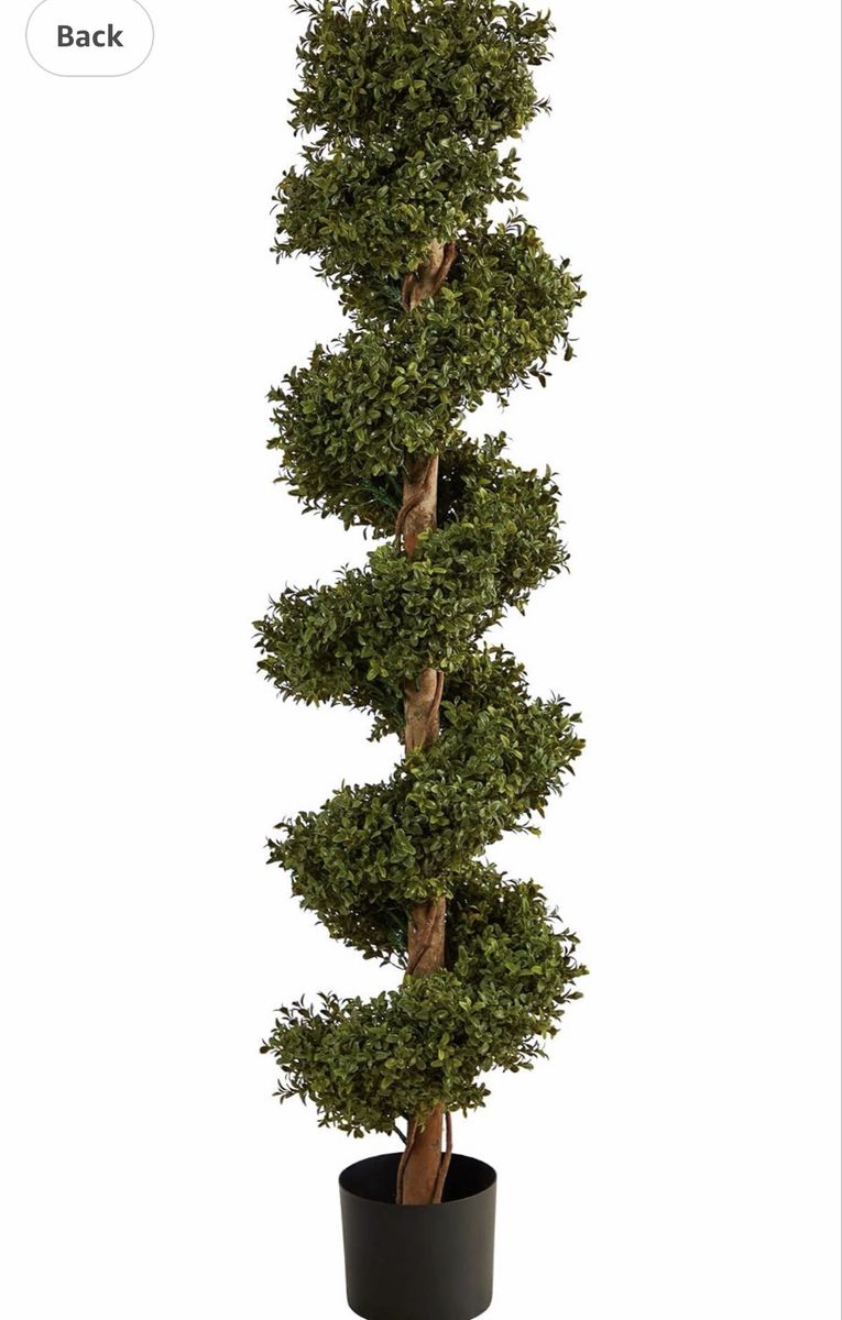 Main image 4
