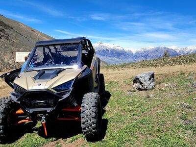 2021 Polaris RZR Pro Premium