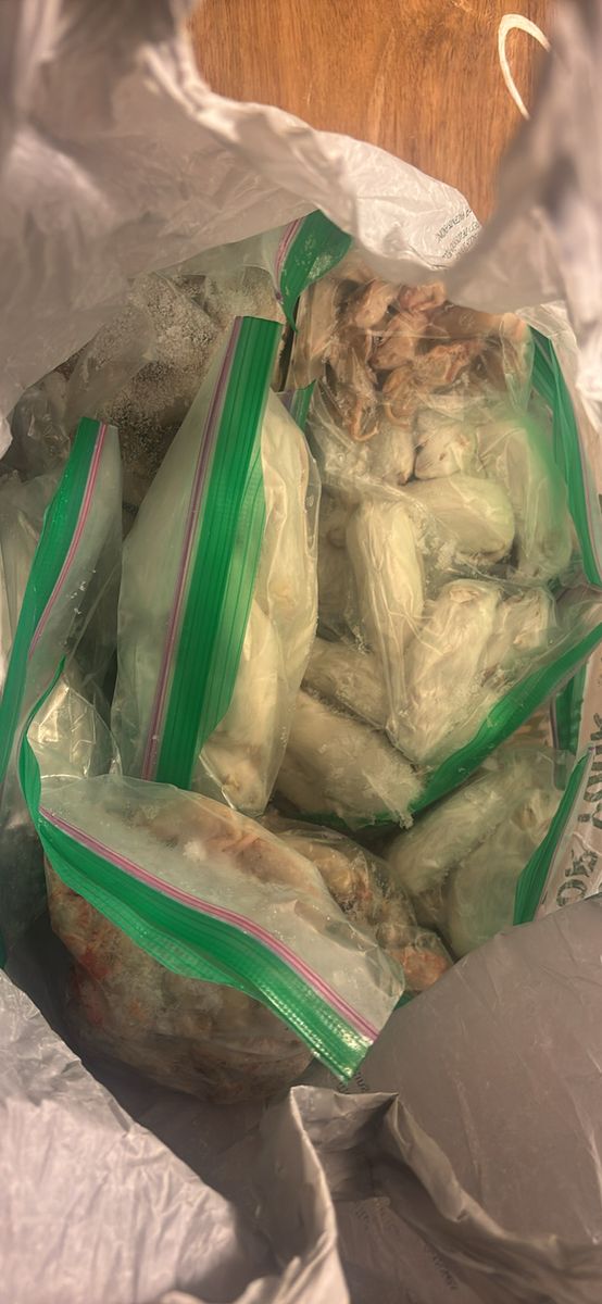 Assorted Frozen Feeder Mice for Reptiles & Pets