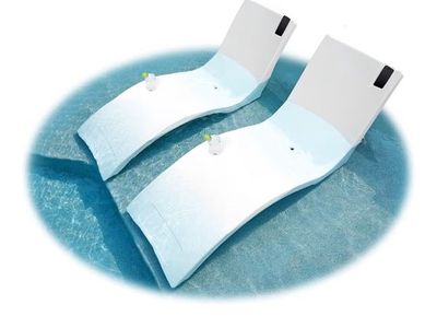2 pool lounge chairs