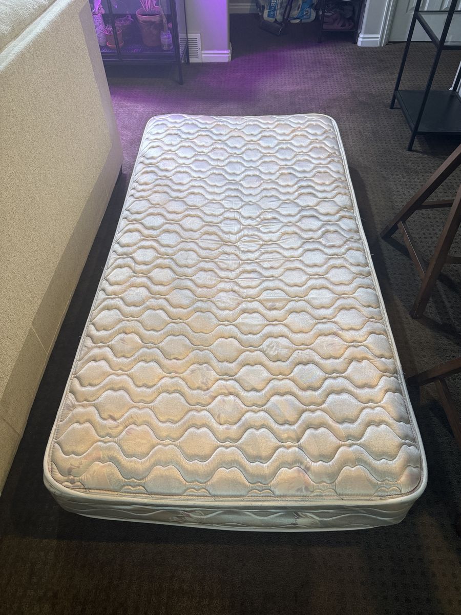 Free Twin Mattress