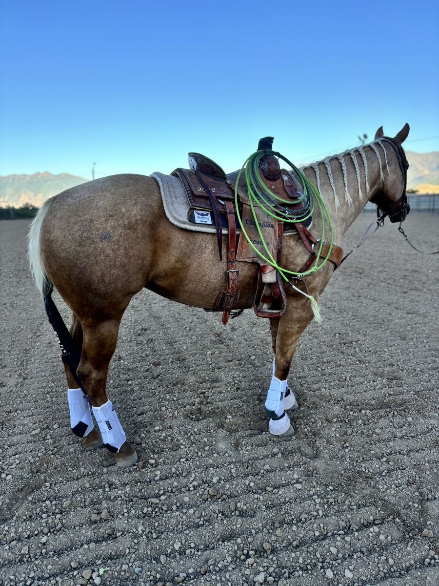 Rope Horse