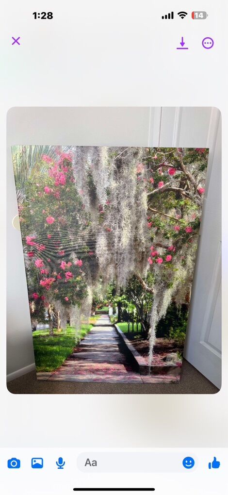 Wall Art Pictures 48x32