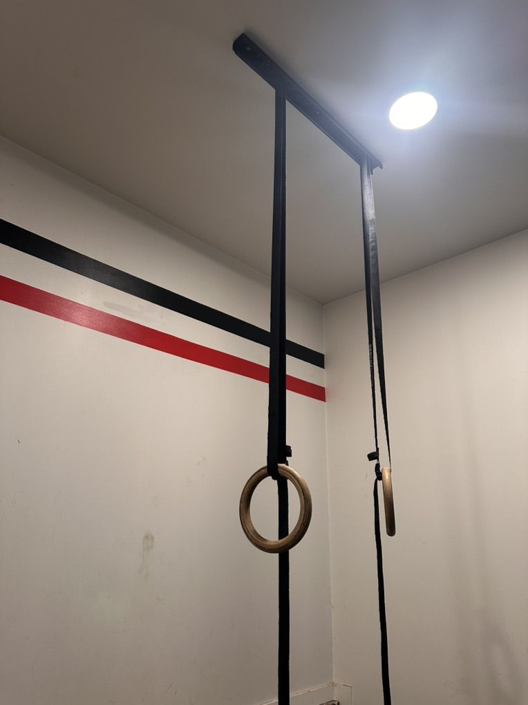 Rogue Rings And Ceiling Attachment