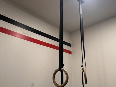 Rogue Rings And Ceiling Attachment