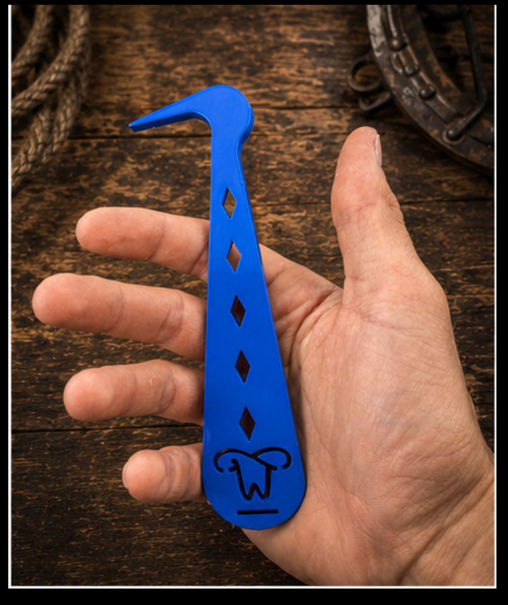 Premium custom horse hoof picks