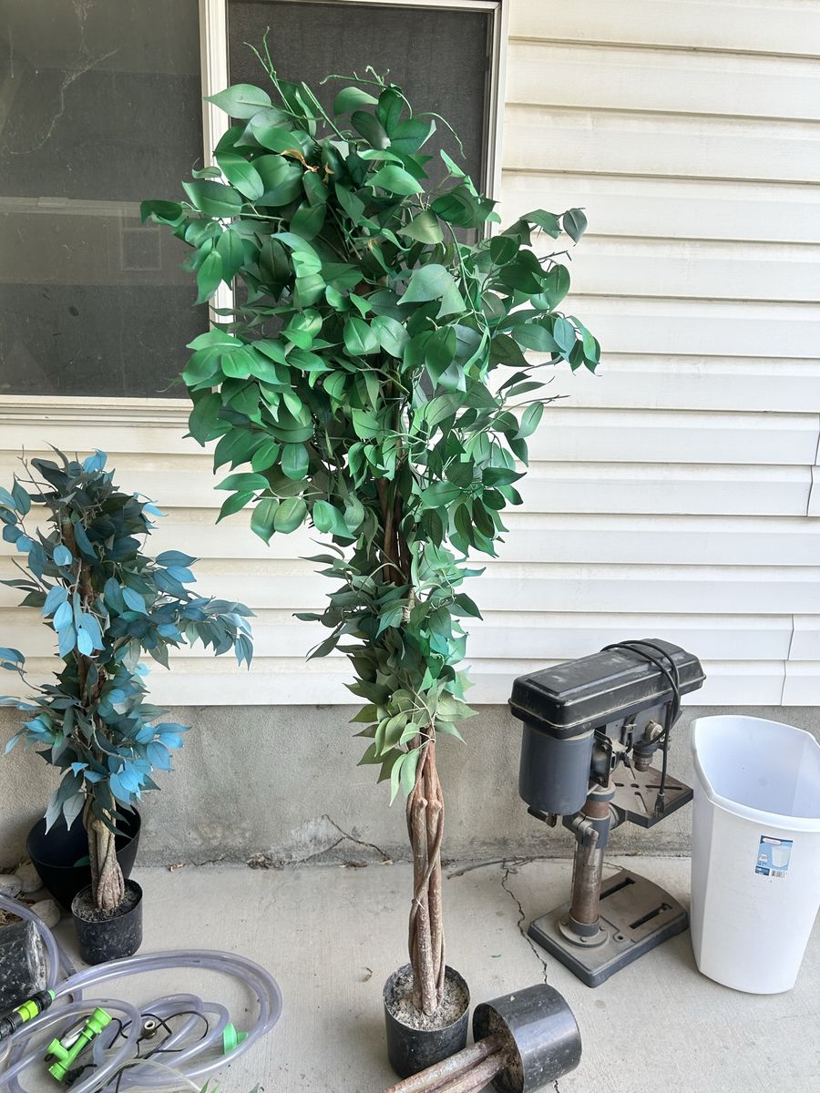 Artificial Ficus Tree (1) - Realistic Faux Greenery Decor