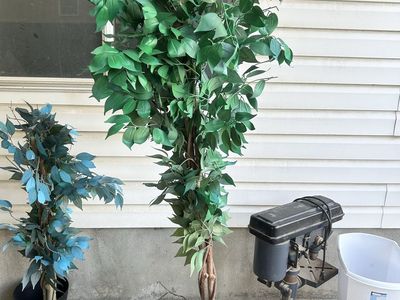Artificial Ficus Tree (1) - Realistic Faux Greenery Decor