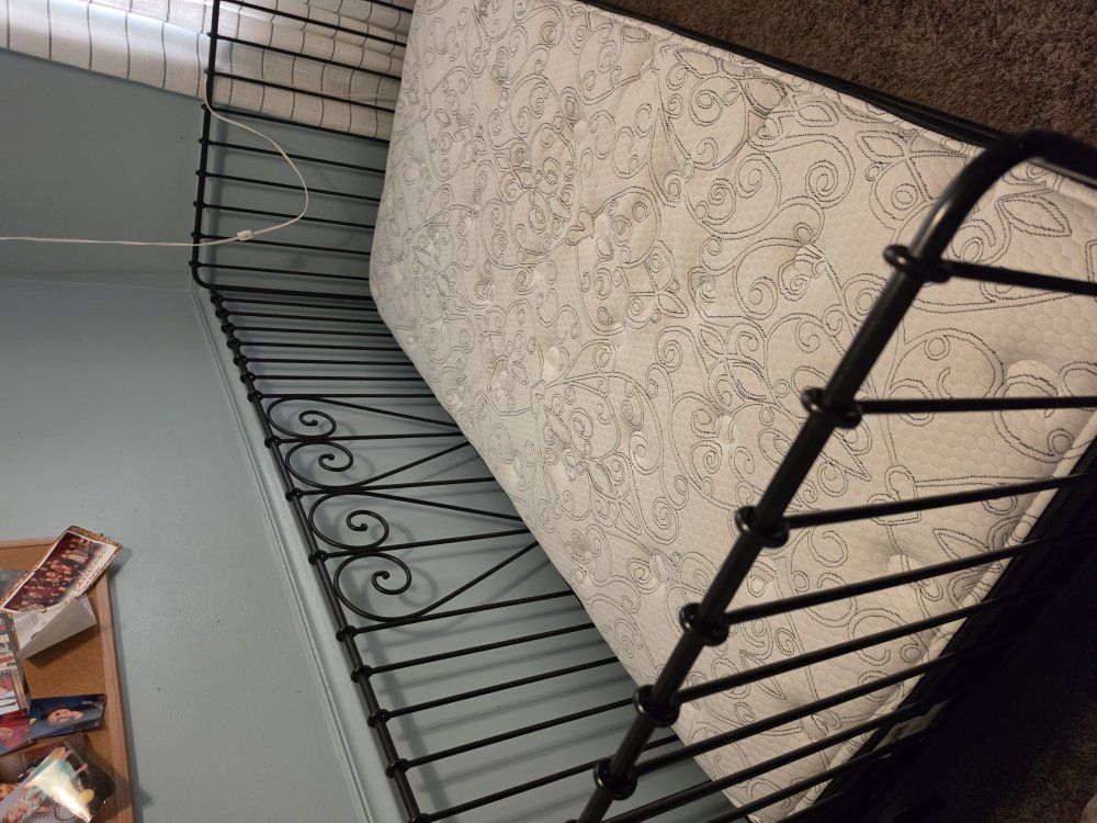 Twin daybed with Mattress
