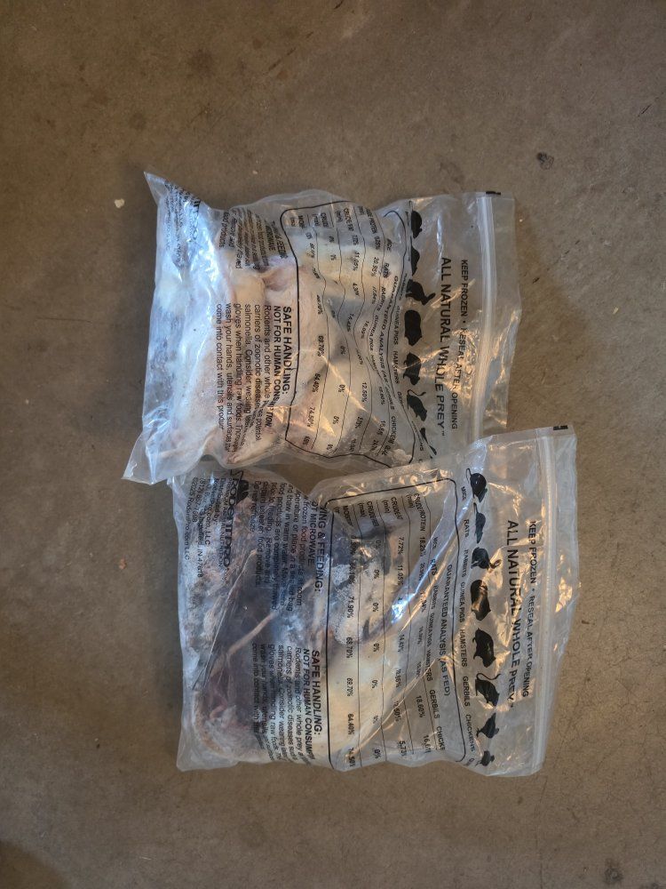 Free Monitor Food!