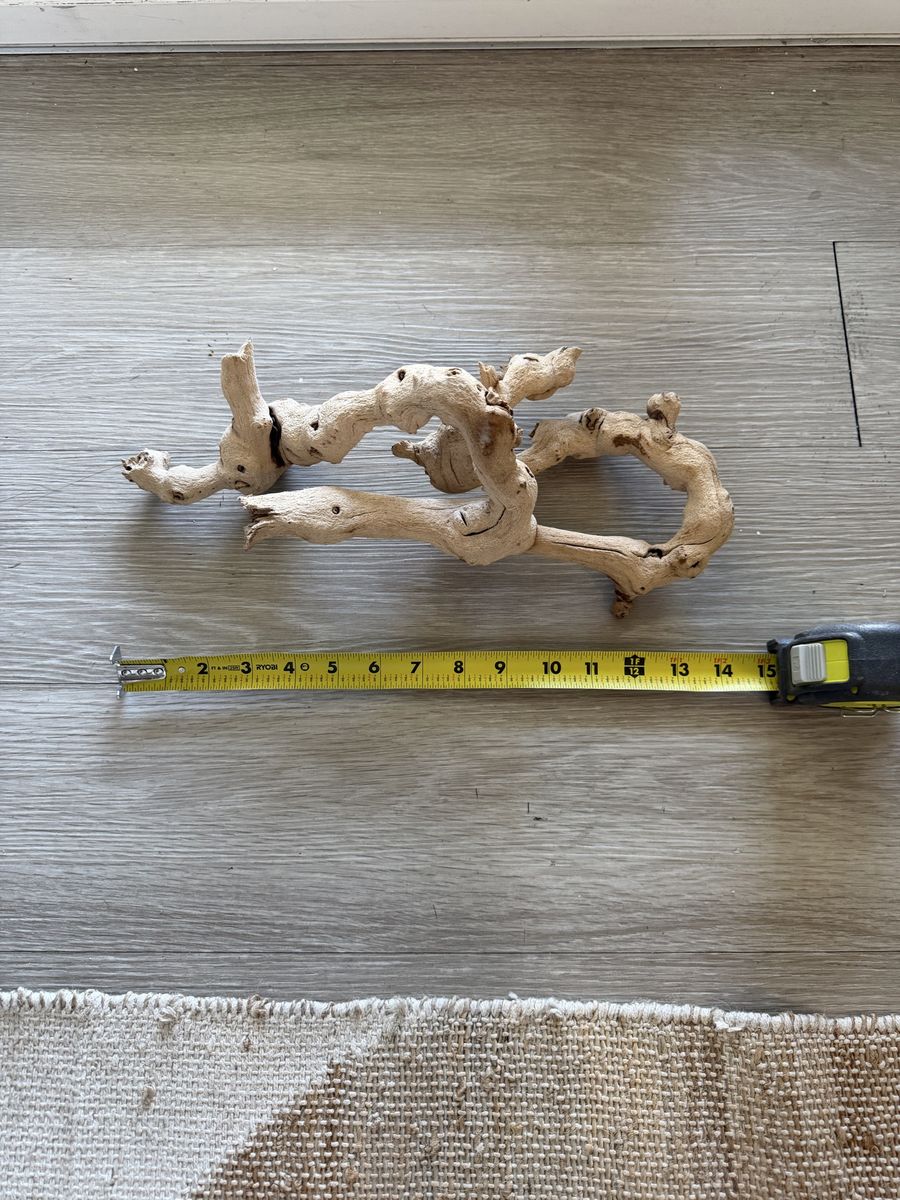 Main image 2