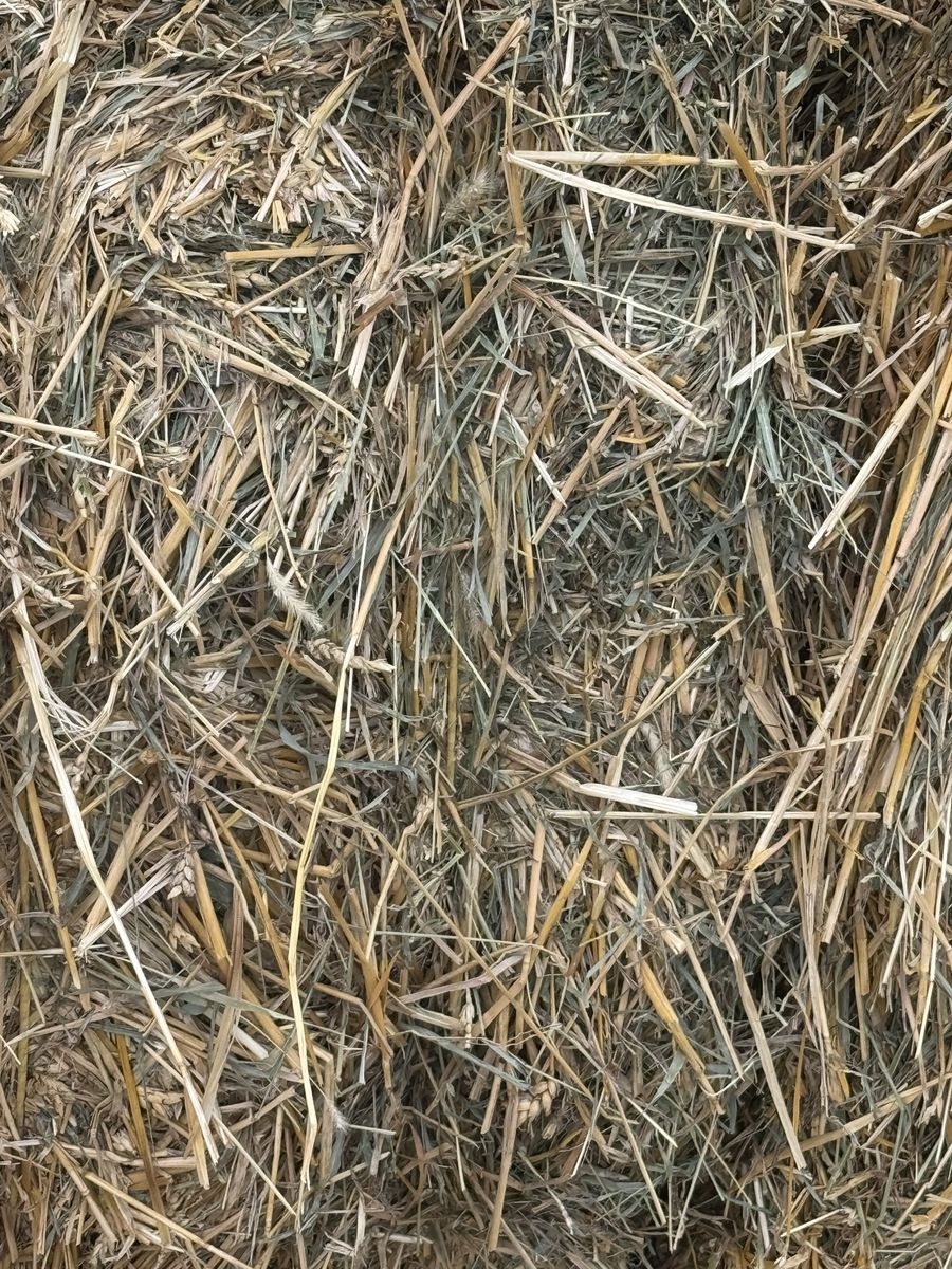 Feeder Hay For Sale Cheap