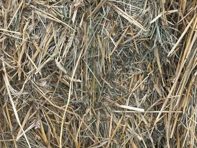 Feeder Hay For Sale Cheap