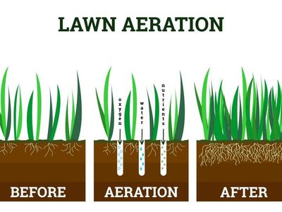 Lawn Aeration