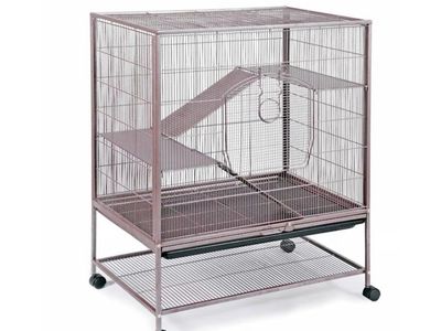 Small animal cage (used for rats) $150 OBO