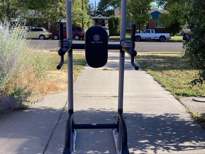 Golds Gym Power Tower