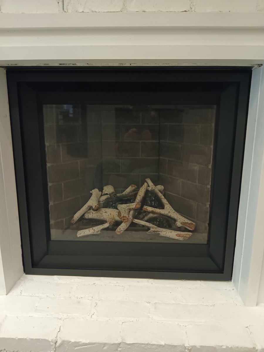 Gas Fireplace and Insert Sale