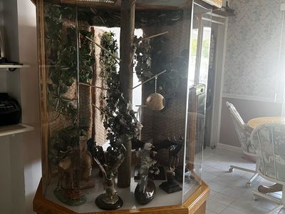 Oak Bird Cage