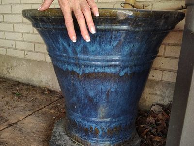 Fountain Blue Pot Bamboo Tomato Cage Ivy Spiral Trellis