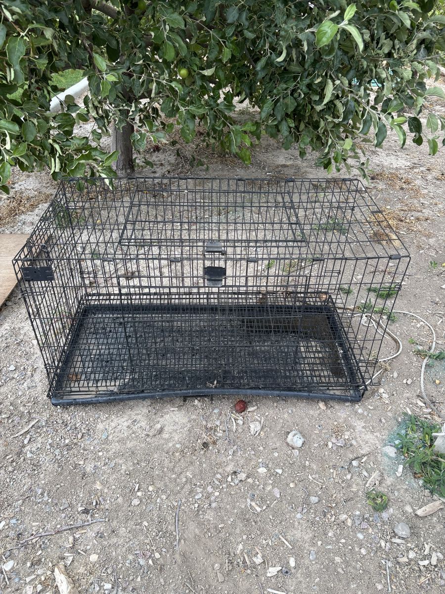 Rabbit cage