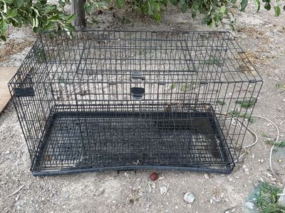 Rabbit cage