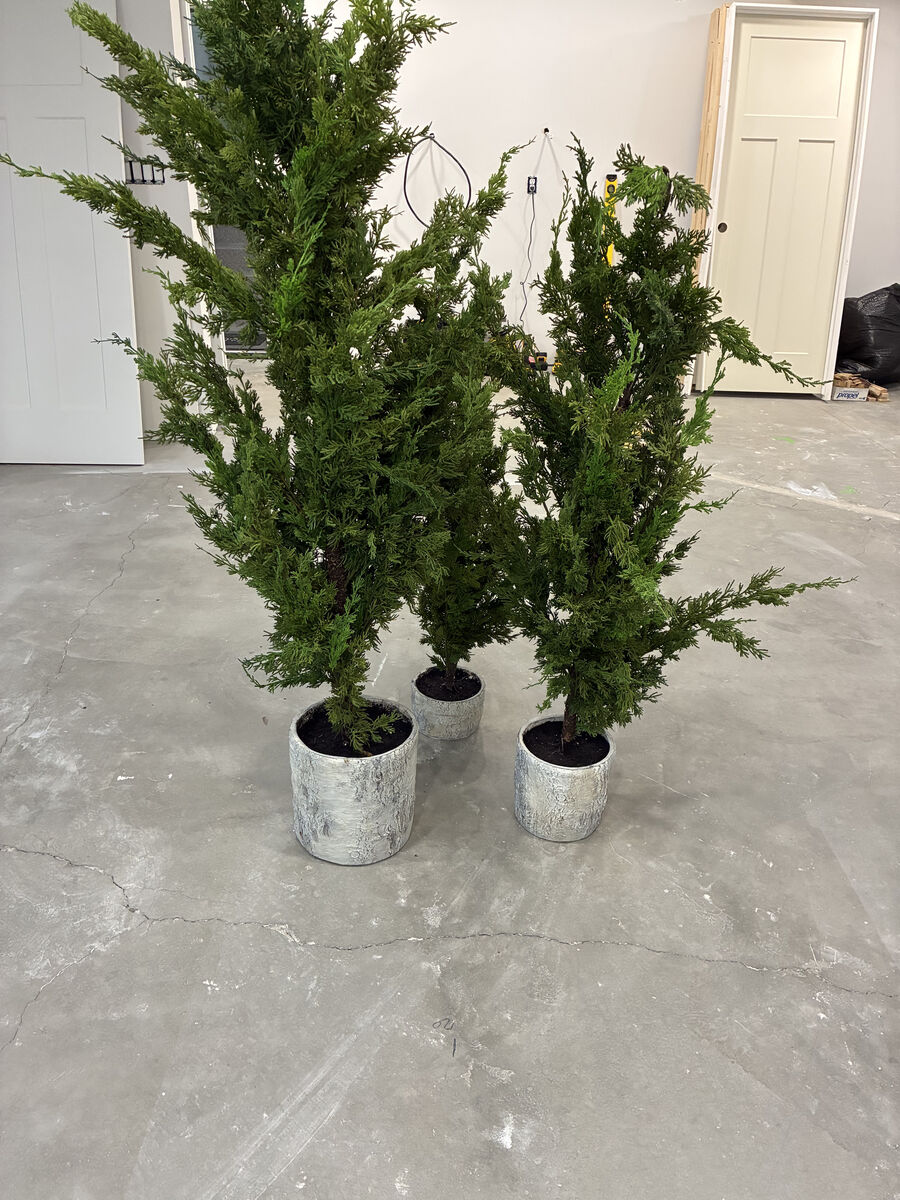 3 Decorative Trees from Restoration Hardware