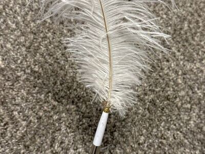 Wedding Decor Feather Pen For Guest Book**Rental**