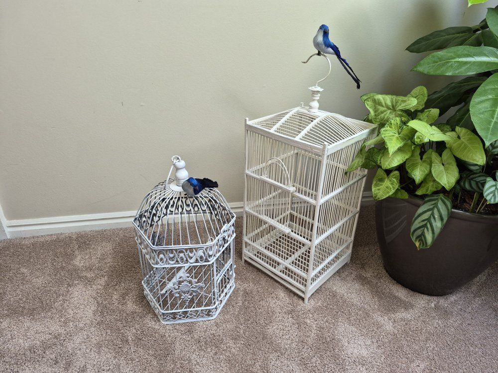 White Bird Cages - 2
